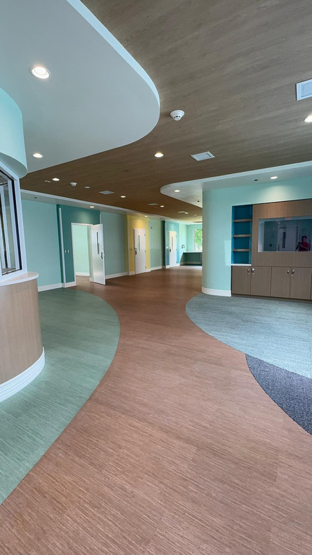 Araujo's Cleaning Services project photo