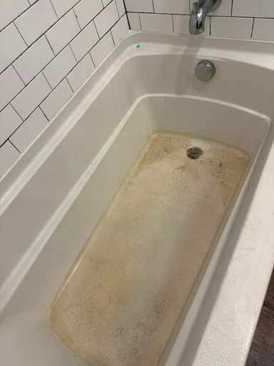 Araujo's Cleaning Services project photo